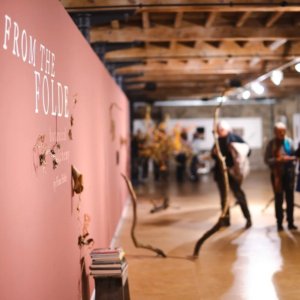 The Everybody Gallery Exhibitions And Events Everybody Arts