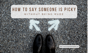 A Nicer Way to Say Someone is Picky — Purposeful English