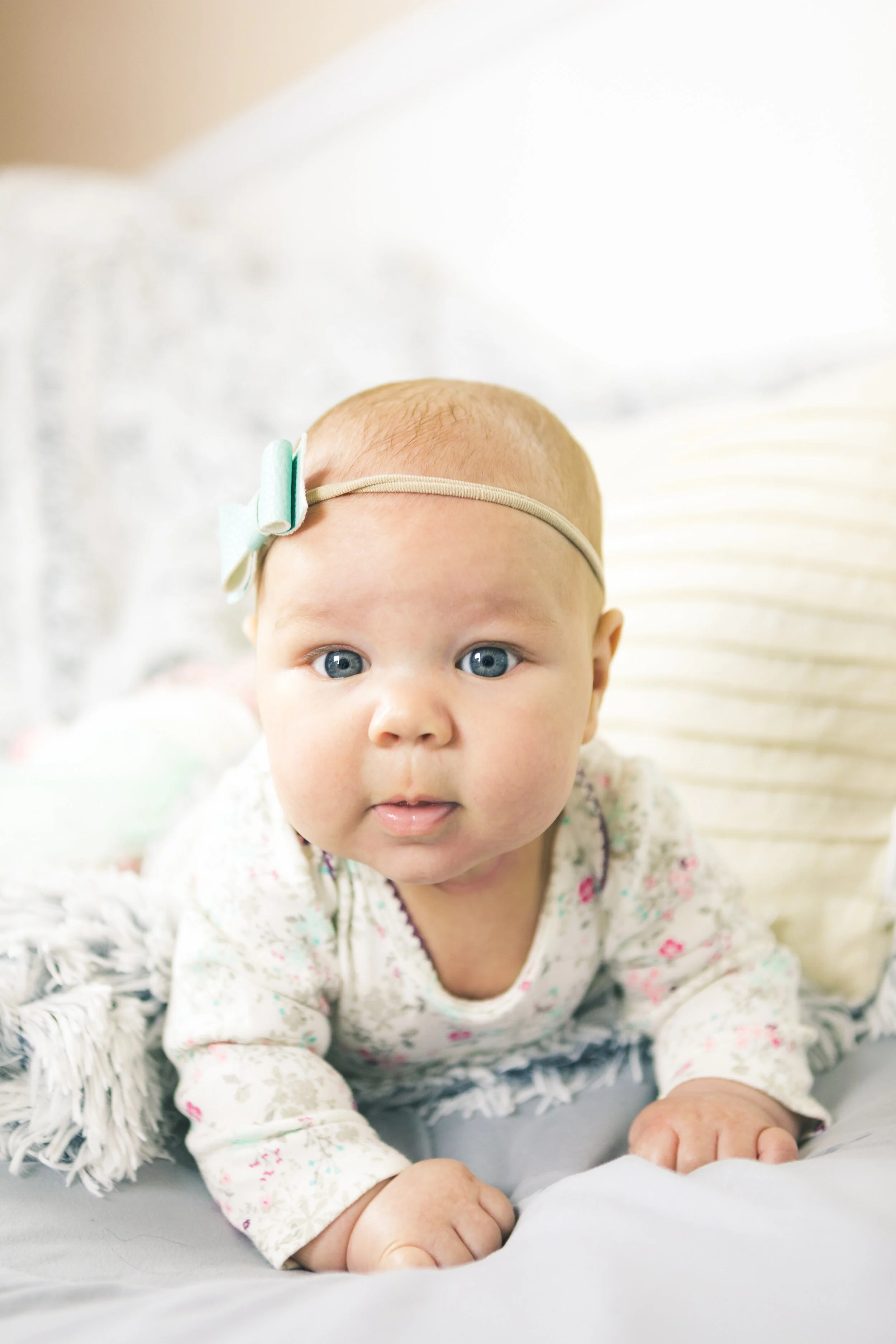 Sienna-6.jpg