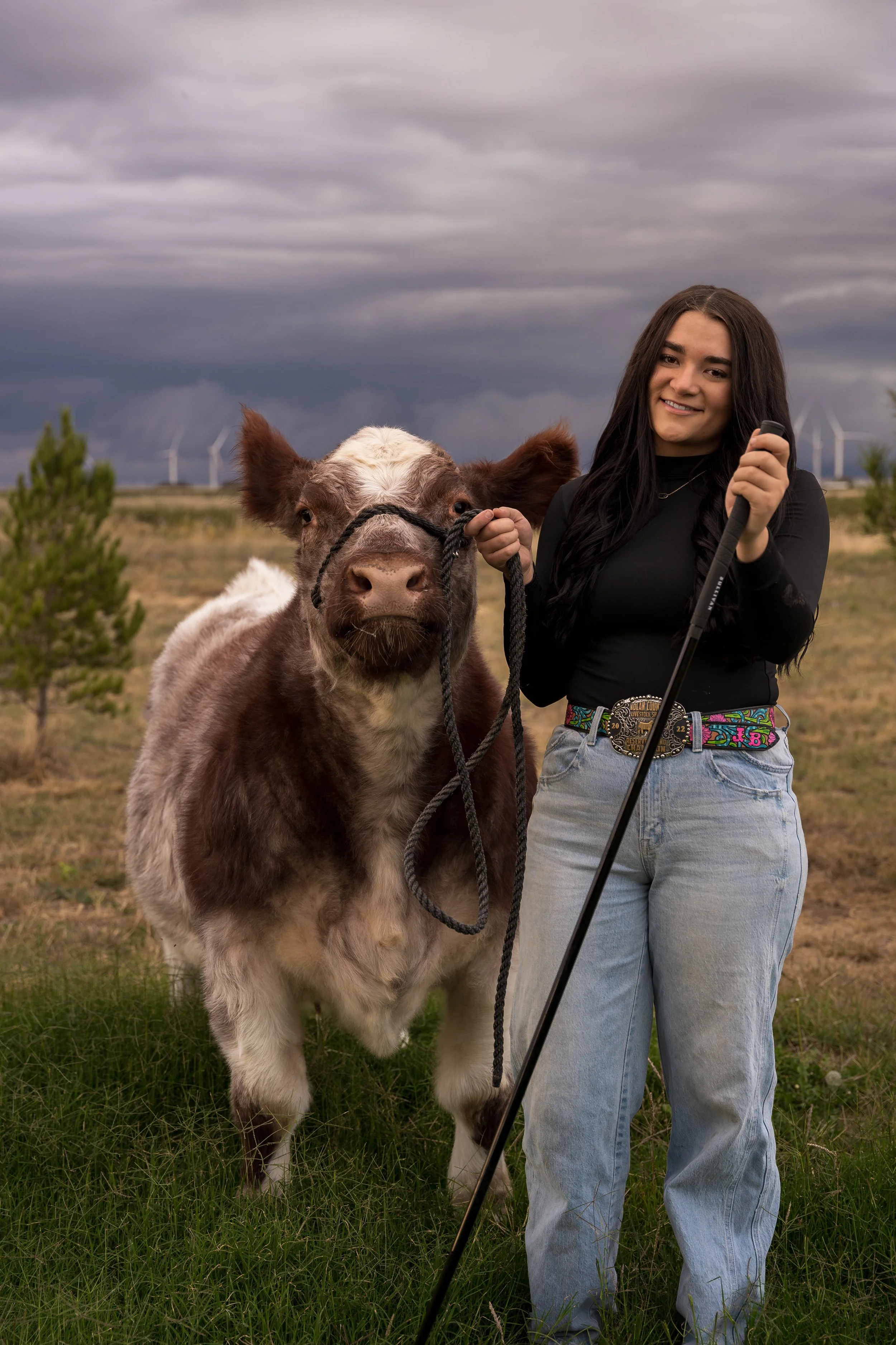 A young woman with long black hair, wearing a black top and light blue jeans with a colorful belt, is holding a leash attached to a brown and white calf in an open field. The sky is cloudy with wind turbines visible in the background.