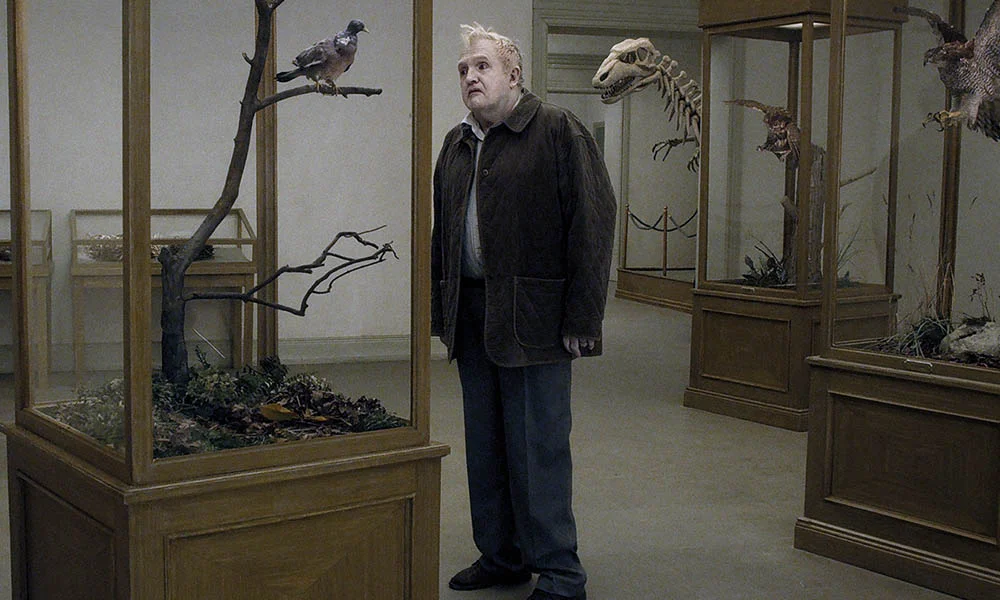 Ep 3 - A Pigeon Sat On A Branch Reflecting On Existence
