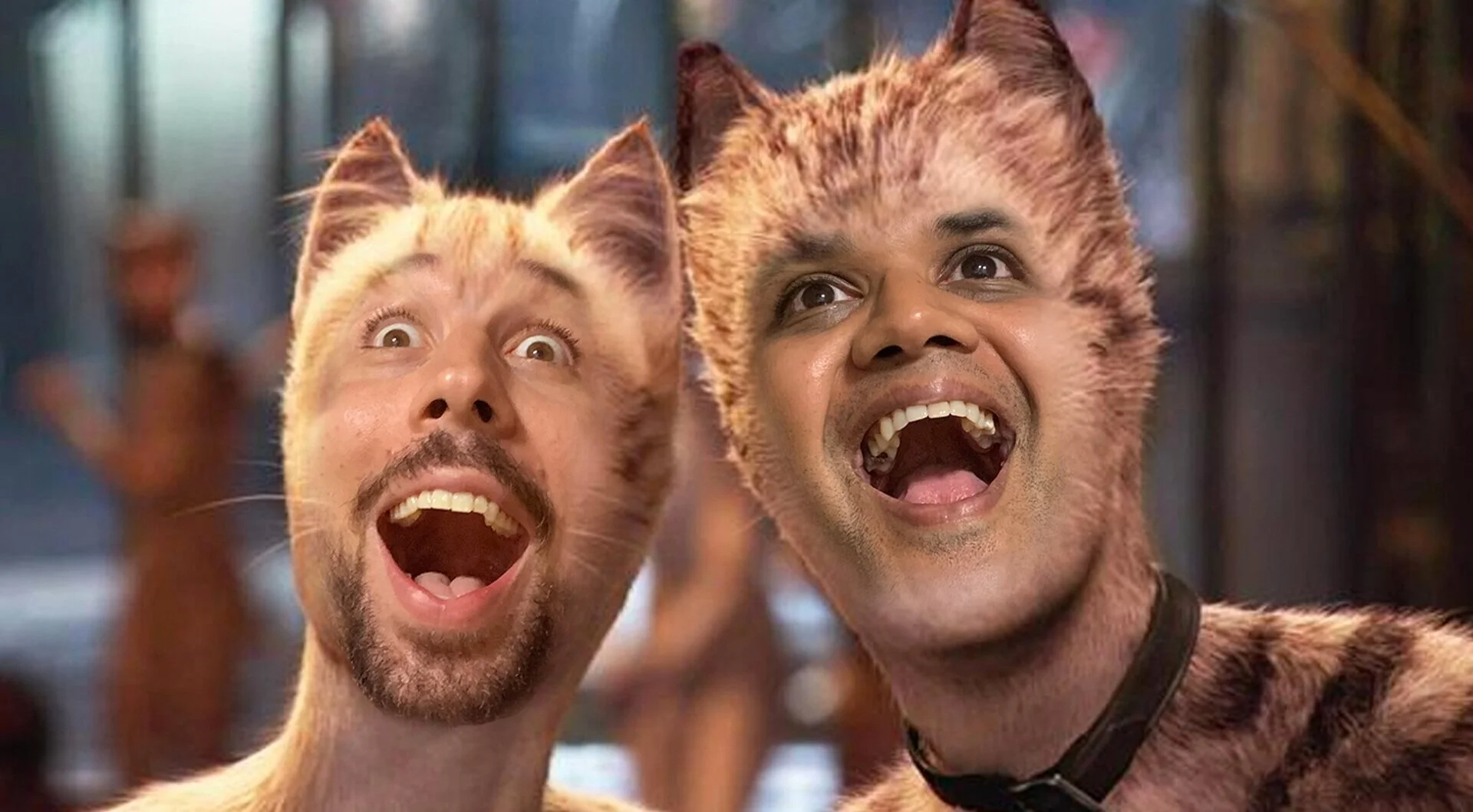 250 - Cats