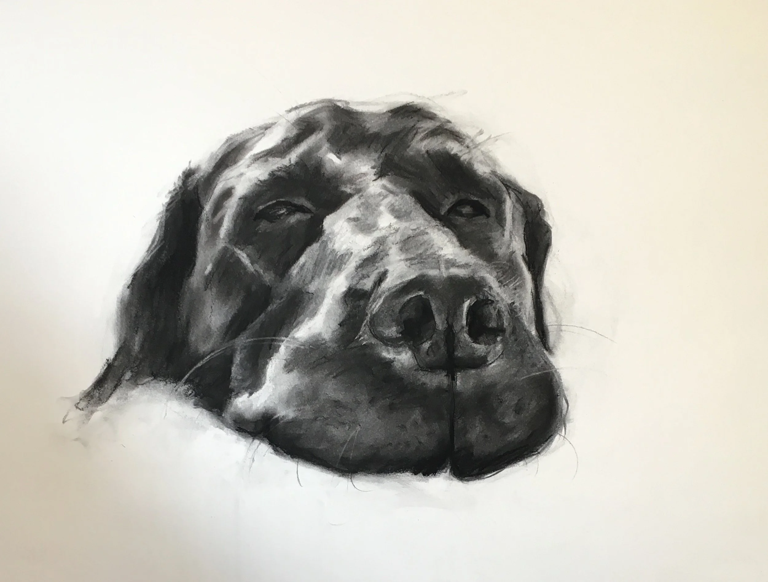 Roxy