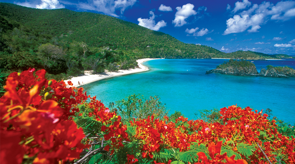 caribbean-virgin-islands1.jpg