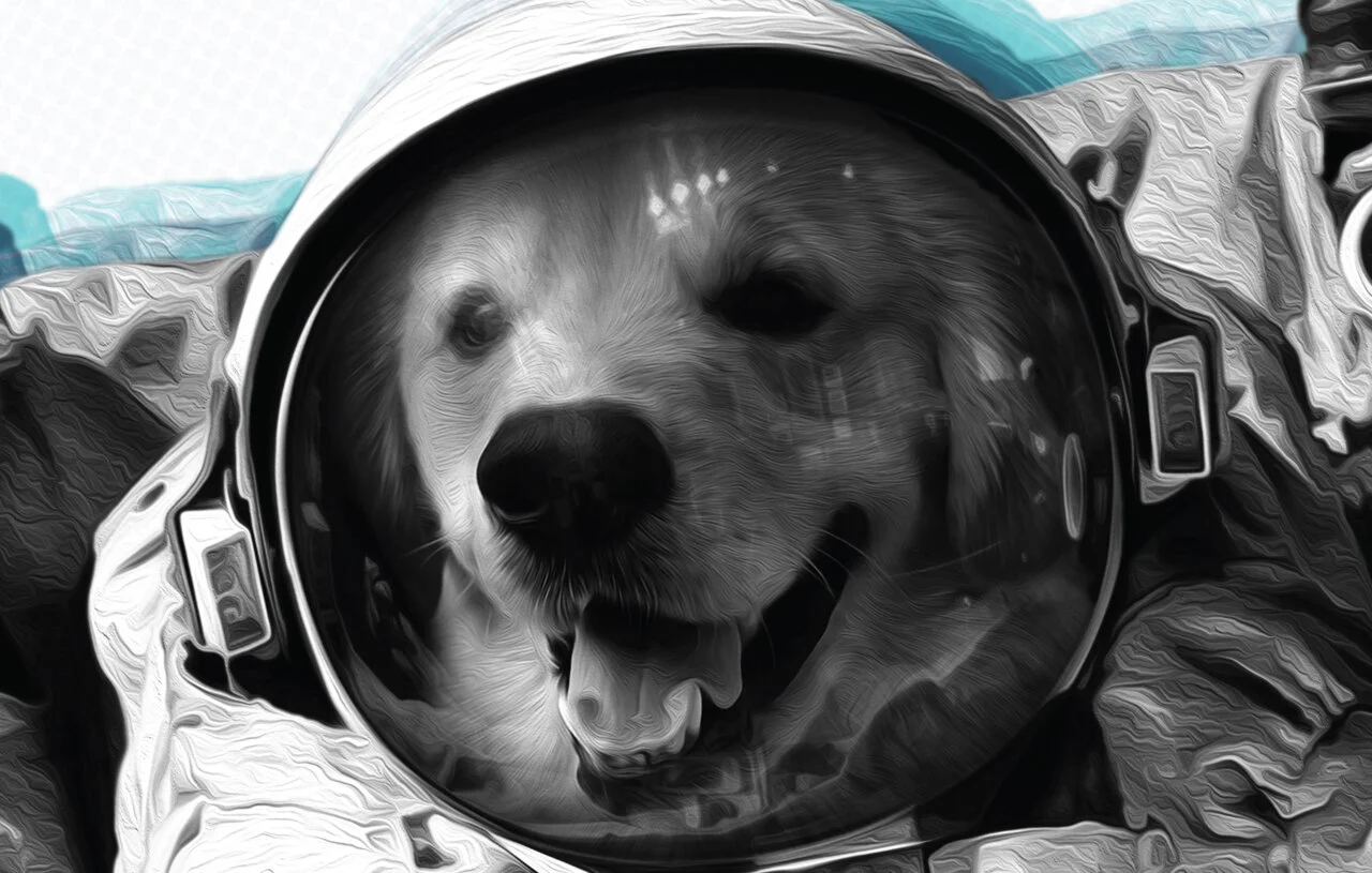 [ Wall Art ] inspirational poster series, design, photography, owner of good boy