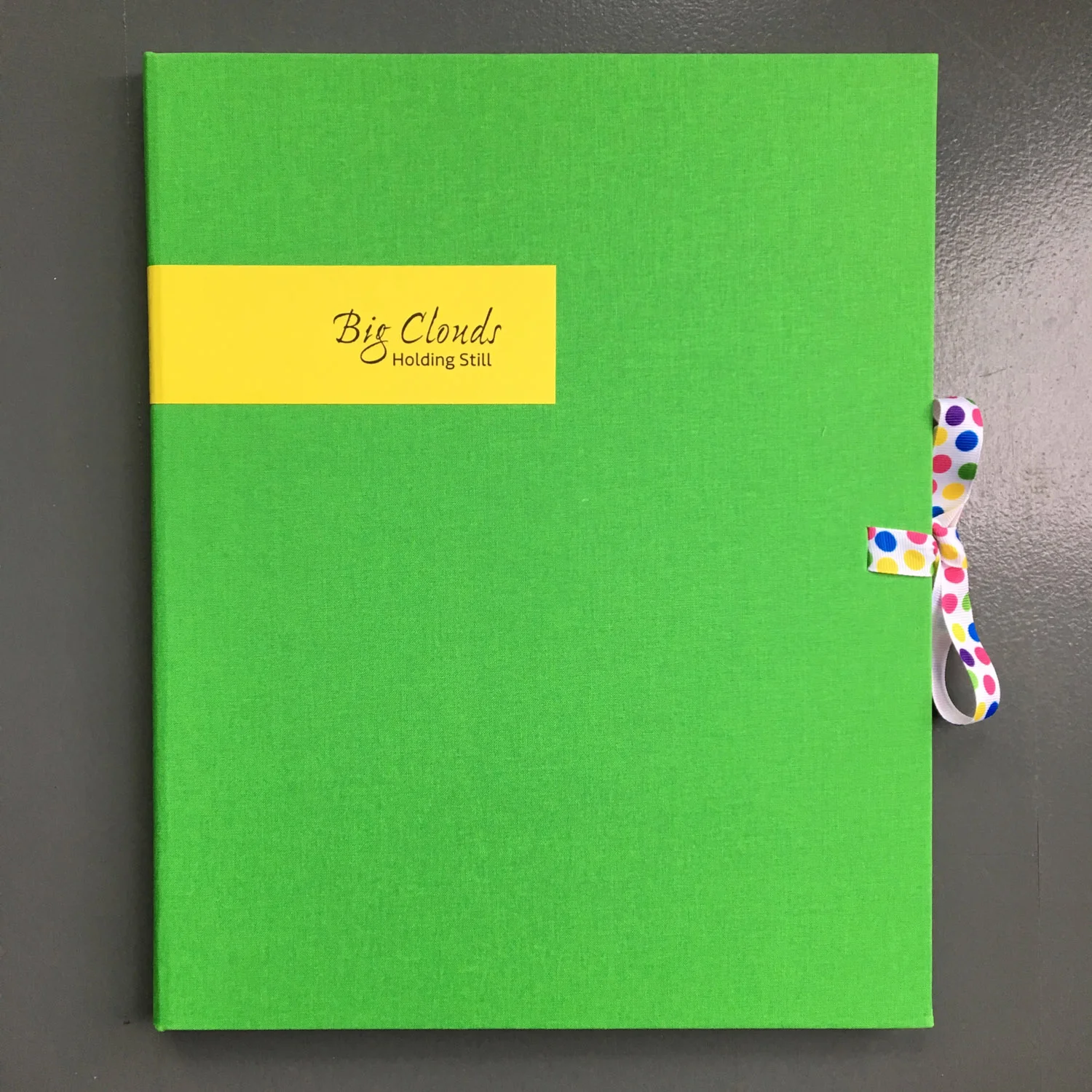 SVC Children's Hospital poetry broadside portfolio cover