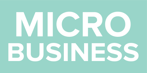 Micro Business