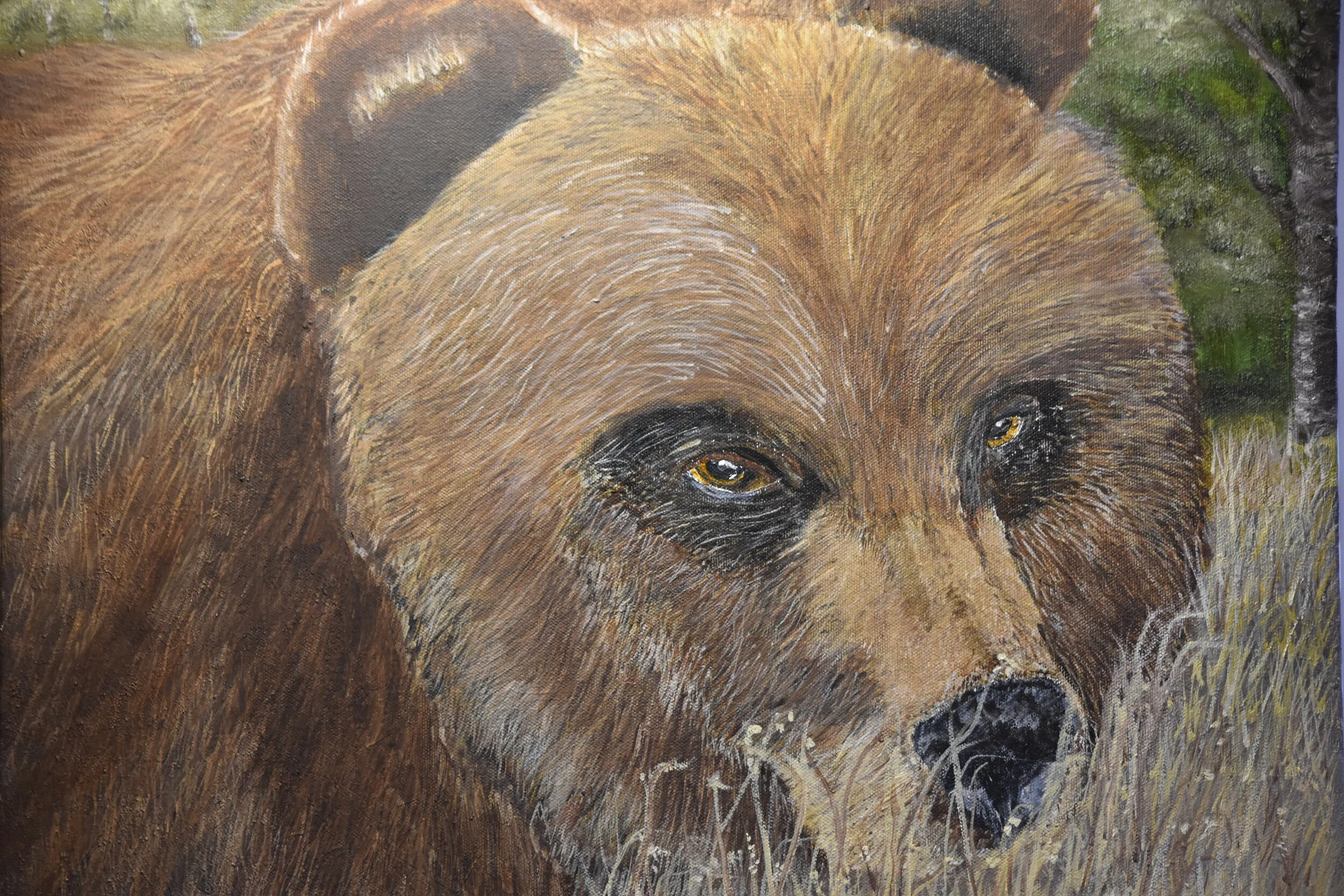 Grizzly on the Bucktail