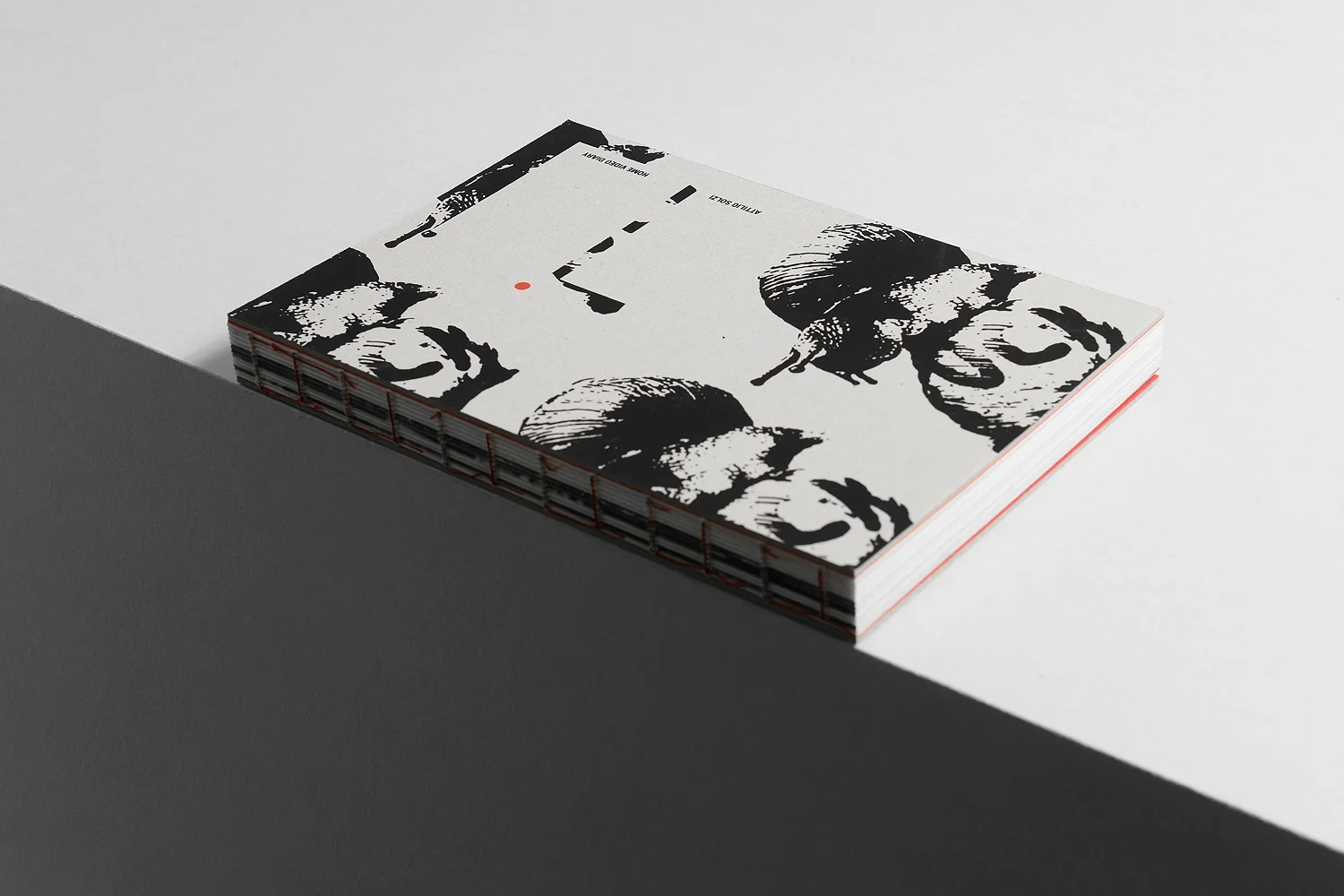 ‘Home Video Diary’ by Attilio Solzi