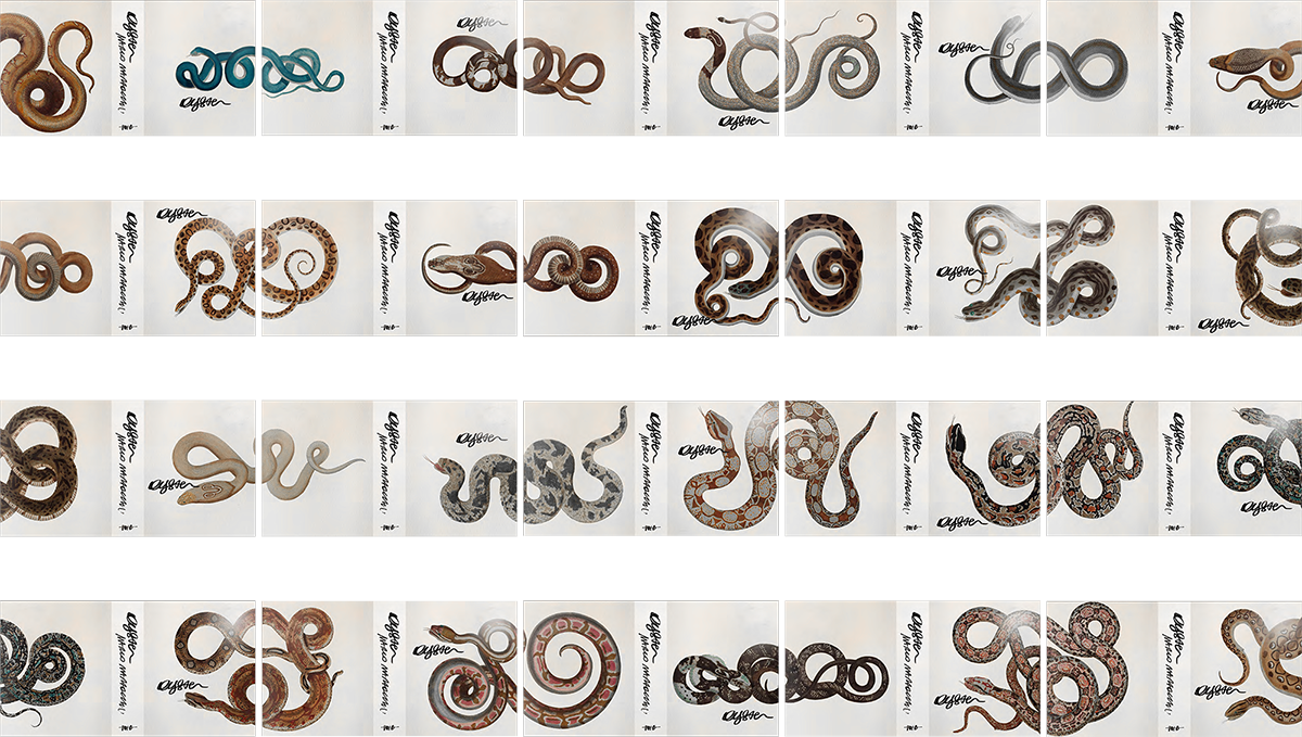 Digital mockup showing the sequence of covers’ artwork