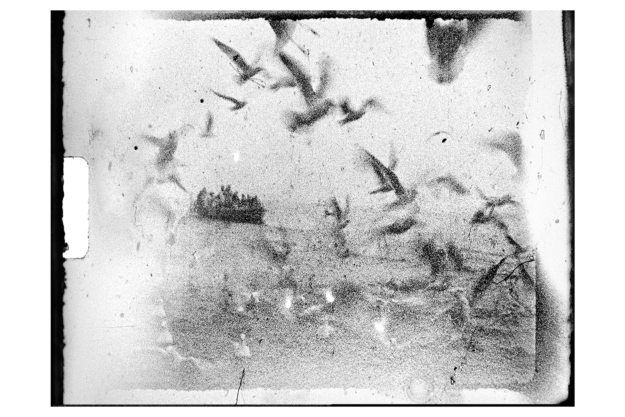 Photograph included in ‘Hunger – Epilogue’ Collector’s Edition