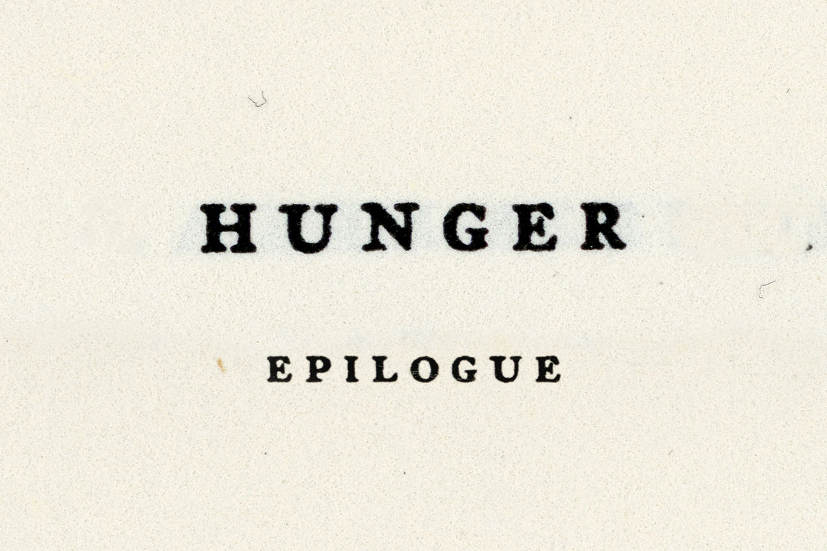 VOID hunger FB epilogue_SMALL.jpg