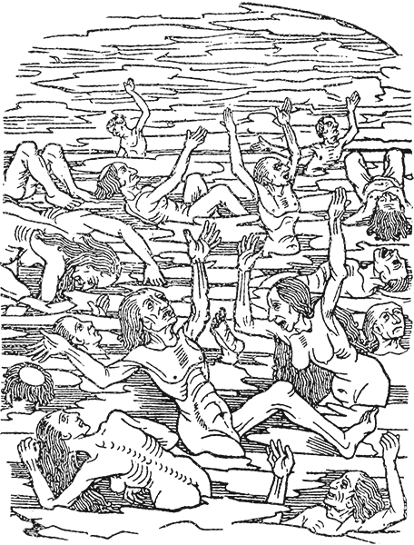 LTD-B