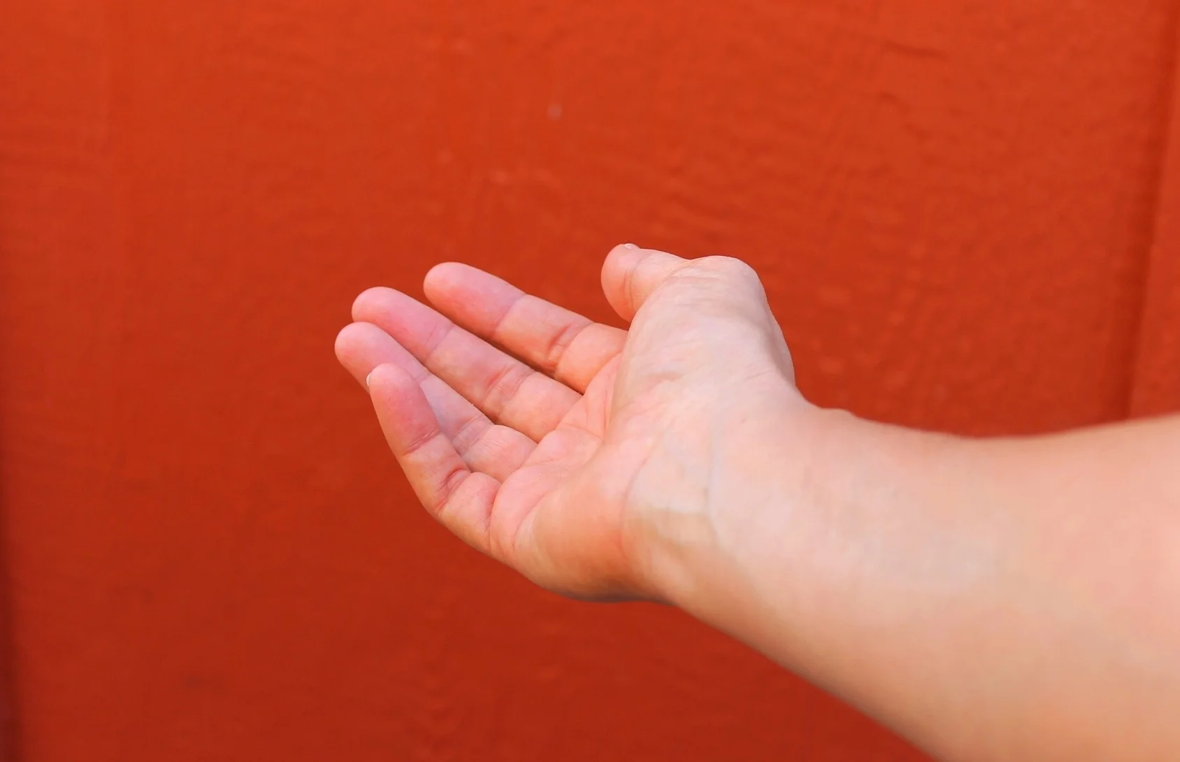 hand for website.JPG