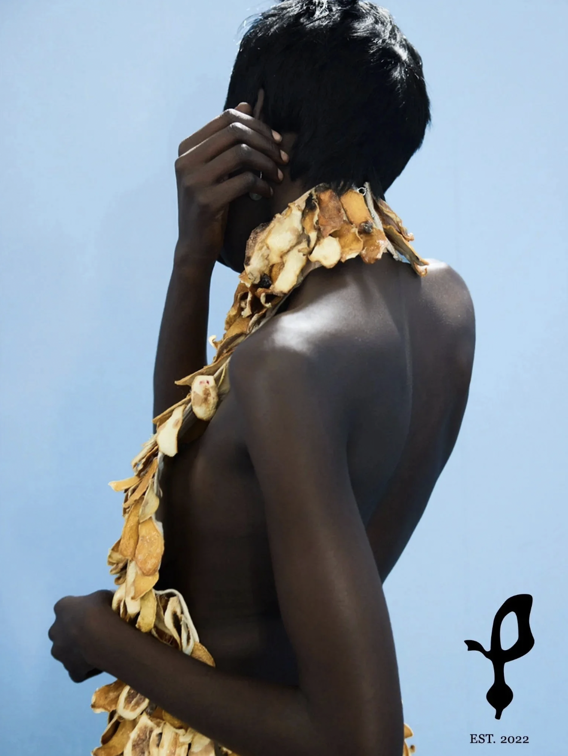 Screen Shot 2026-03-02 at 5.36.36 PM.png