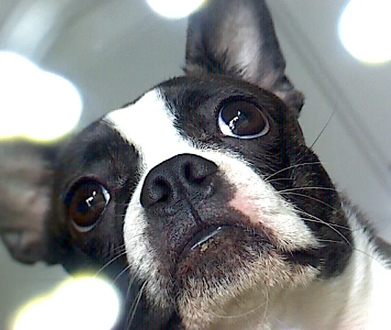 2014-11-27 09.48.16.jpg
