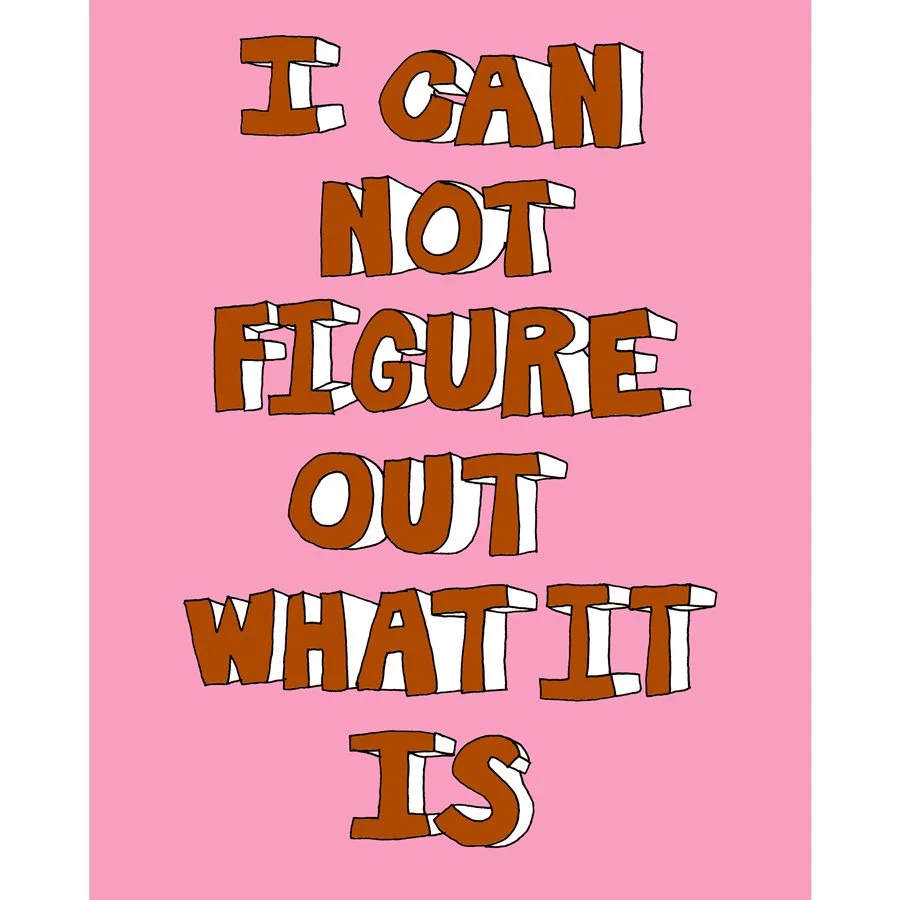 i-can-not-figure-out-what-it-is.jpg