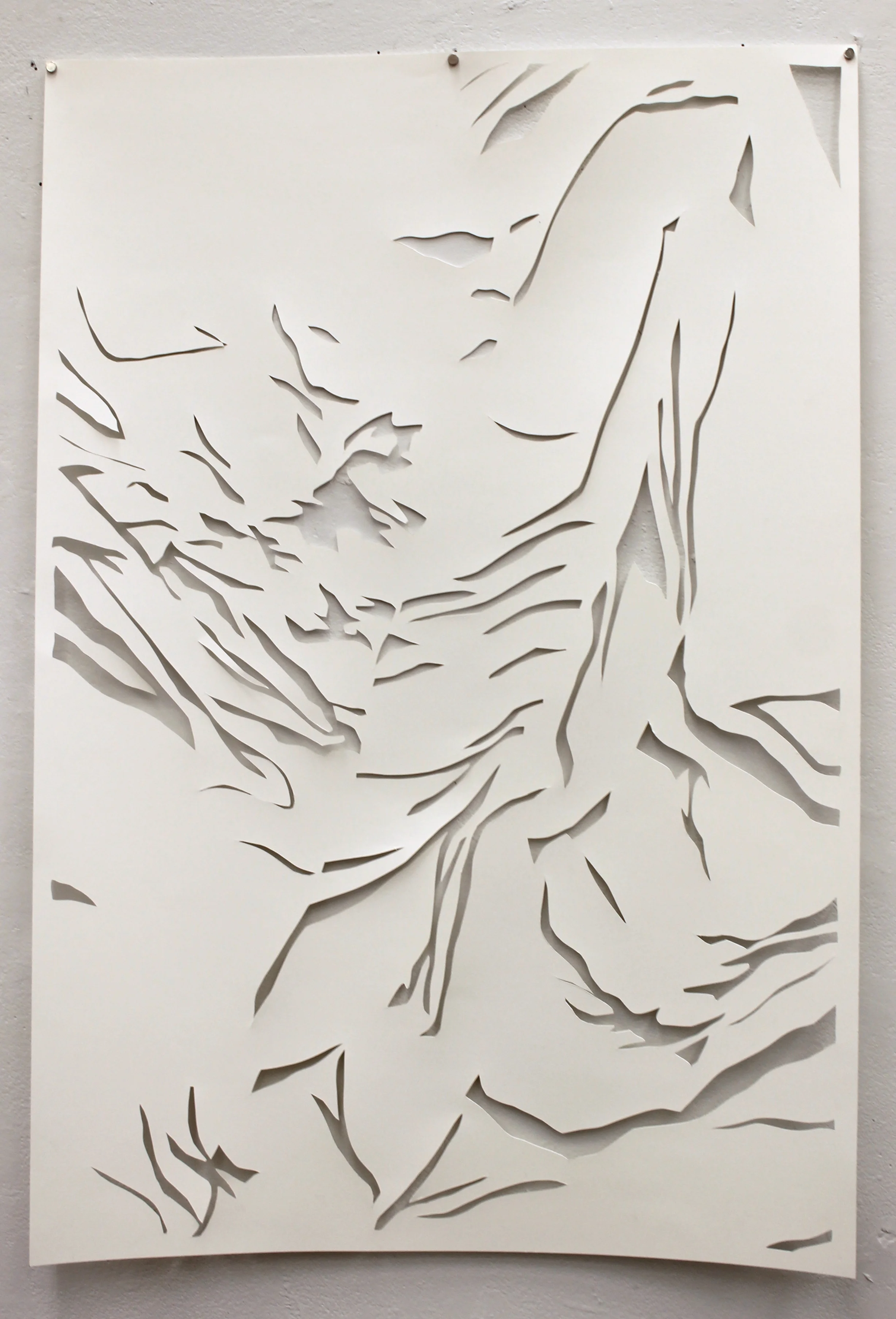  24 x 36  hand cut paper  early 2018 