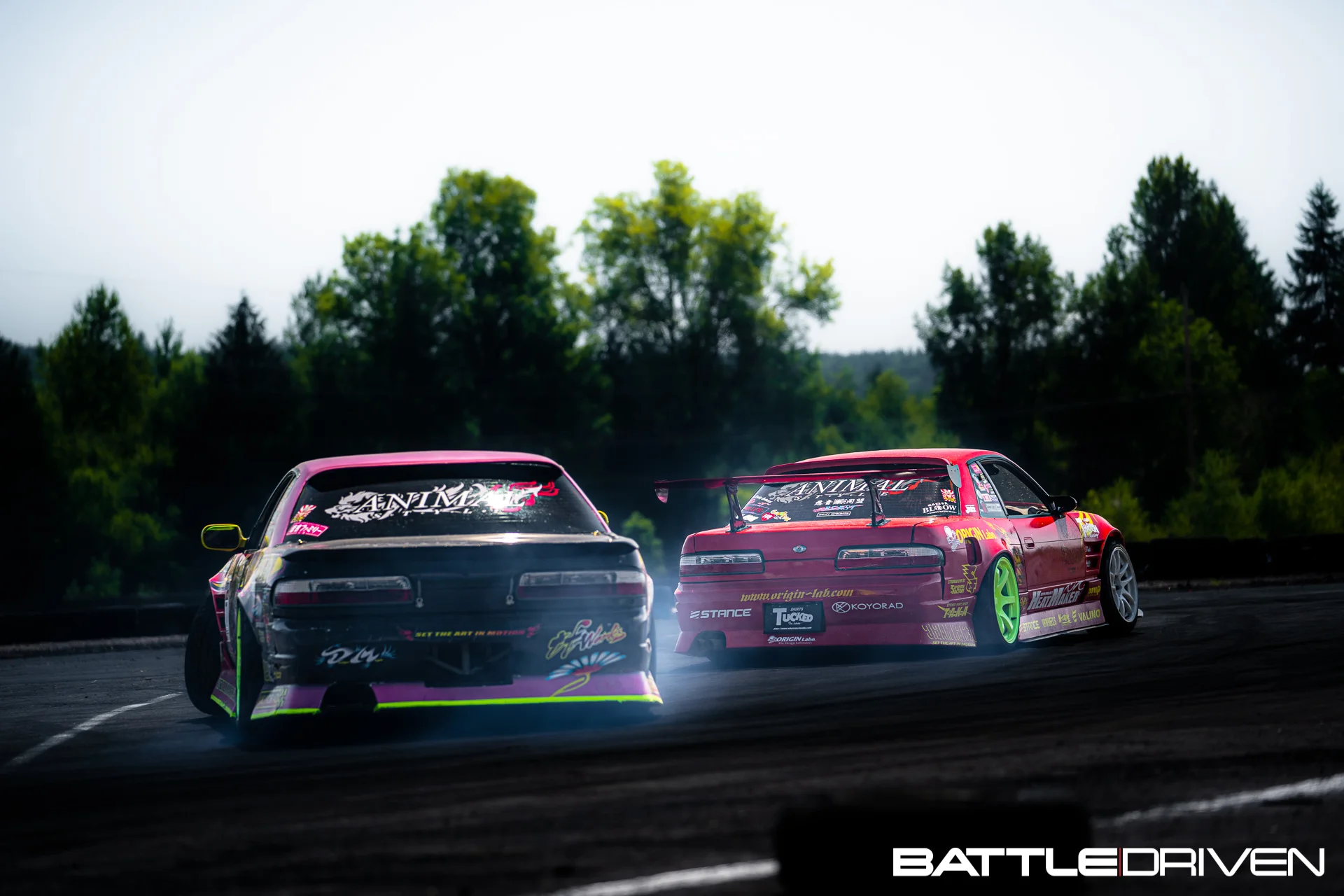 sdnwt-25.jpg