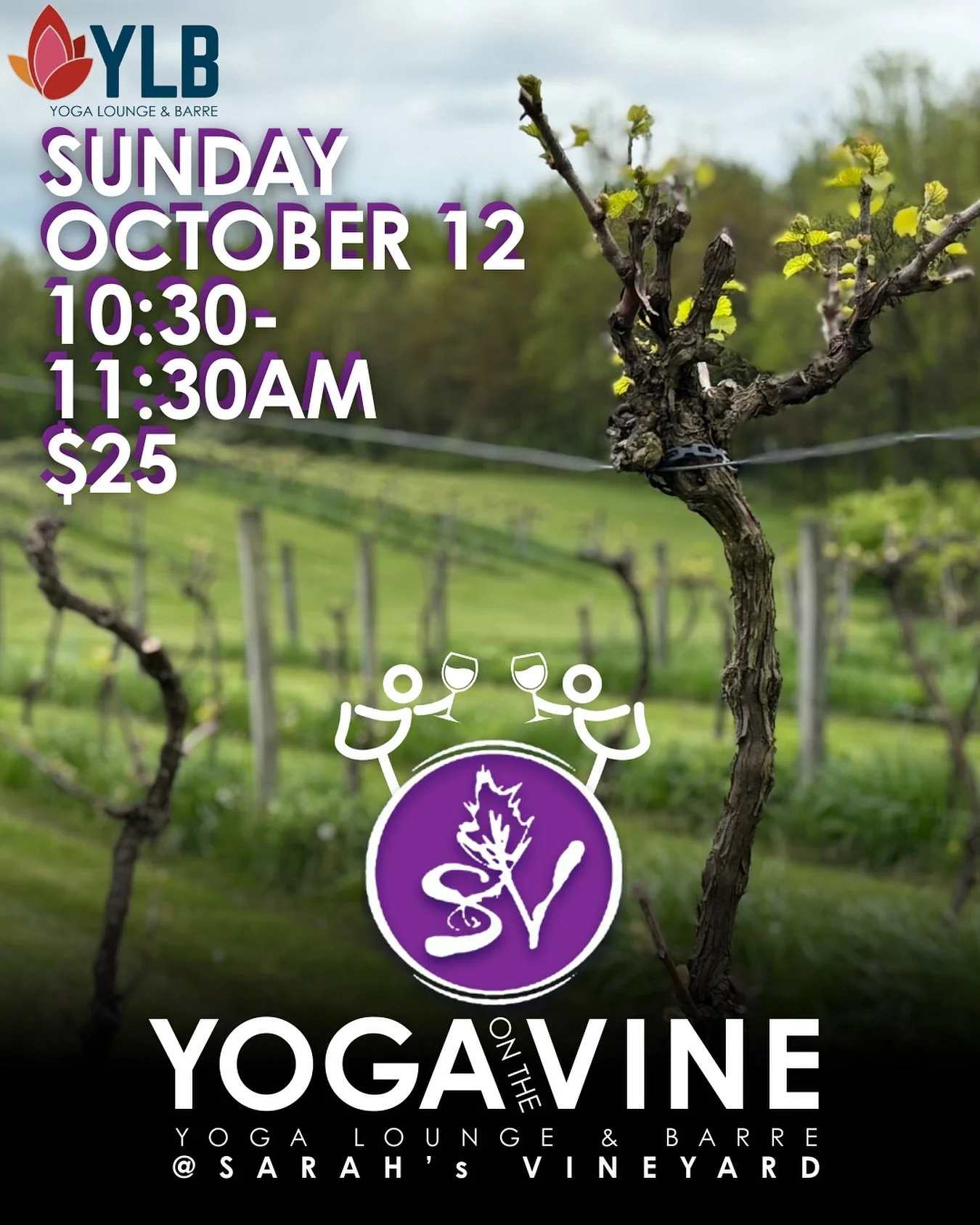 ✨ Stretch, Sip &amp; Savor your Sunday ✨

Flow with the @yogabestieweirdos in a playful, all-levels vinyasa class at beautiful Sarah&rsquo;s Vineyard. We&rsquo;ll move, breathe, and laugh together under the pavilion with vineyard views. 🍇🧘&zwj;♀️ 
