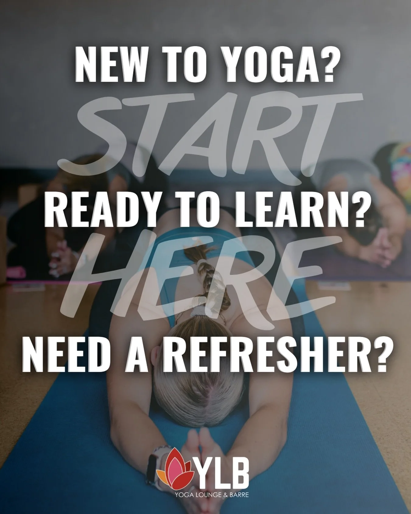 Our 4-week Yoga for Beginners Series is the perfect place to start: foundational, accessible, &amp; supportive. No flexibility or experience needed, come as you are! 

🗓️: Saturdays, 1/10-1/31

🕒: 1:30-2:30pm

💵: $79 total for the full series

➕: 