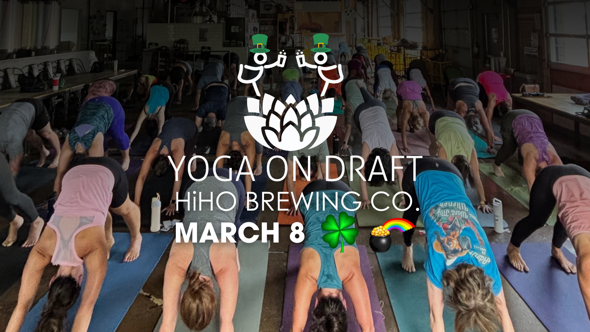 Yoga On Draft: HiHO Brewing Company 🍀