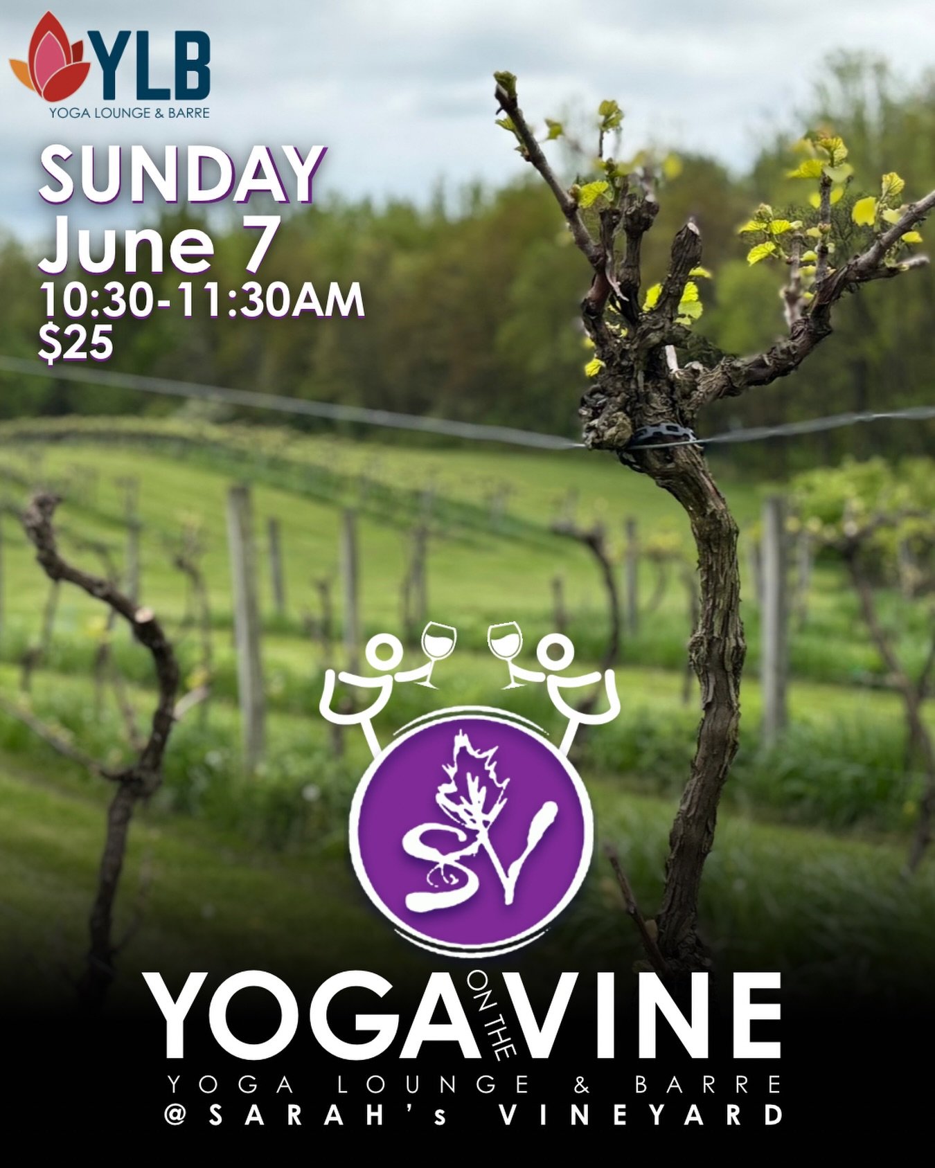 Wine Down with the Weirdos, it's time for another stretch n' sip Sunday! 

Join the @yogabestieweirdos from @yogaloungehudson for a lighthearted, all-levels flow in the pavilion at Sarah's Vineyard. 

With views, vinyasa, + vino ...your Sunday is set