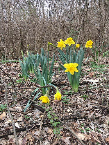 February Colors in the Memorial Garden