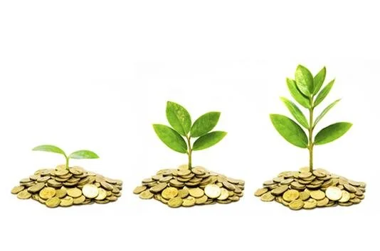 Sunday, Jan 17, 2021, 1:30 PM - 3:00 PM: Finance Team Meeting
