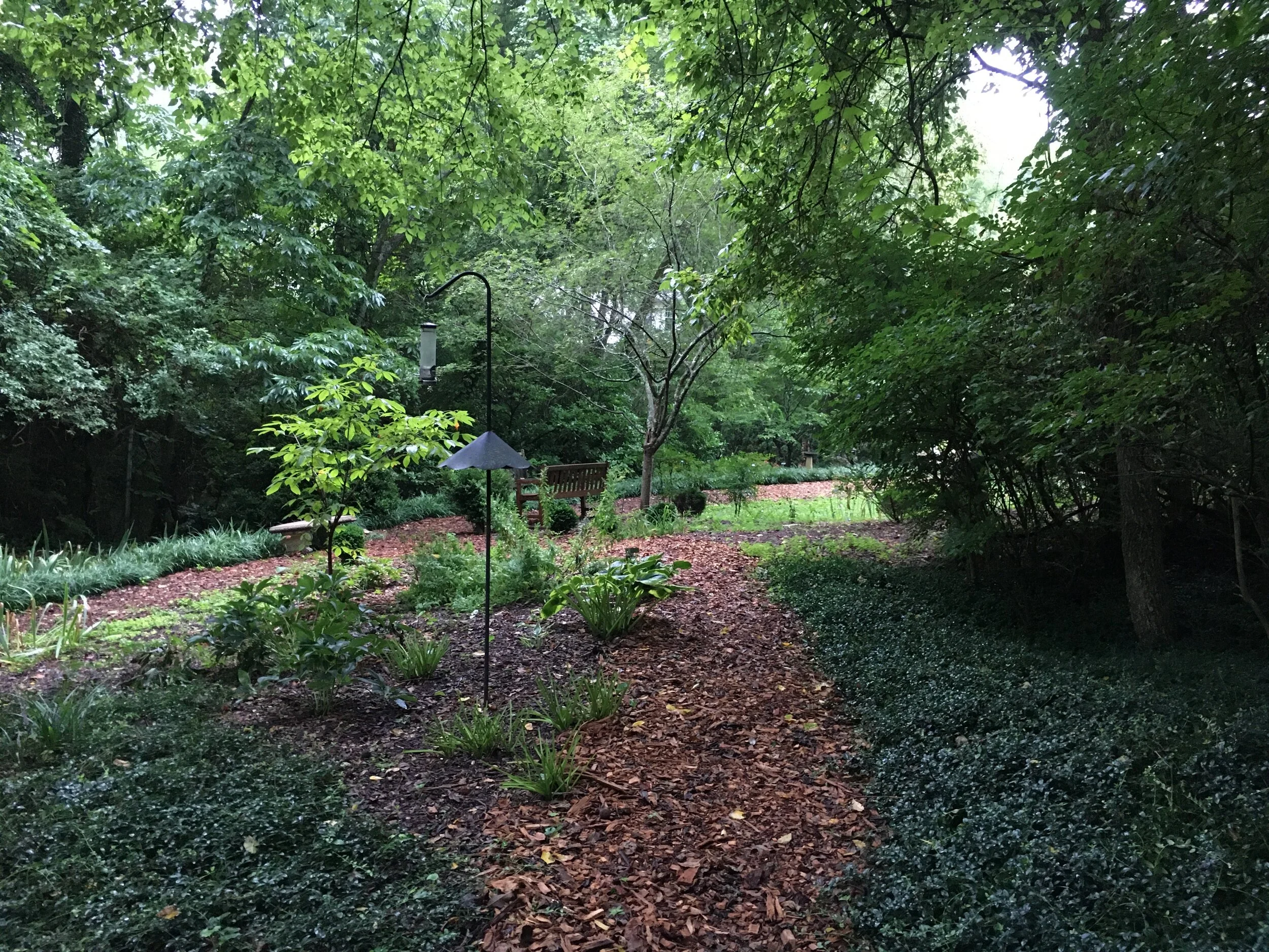 From the path.jpg