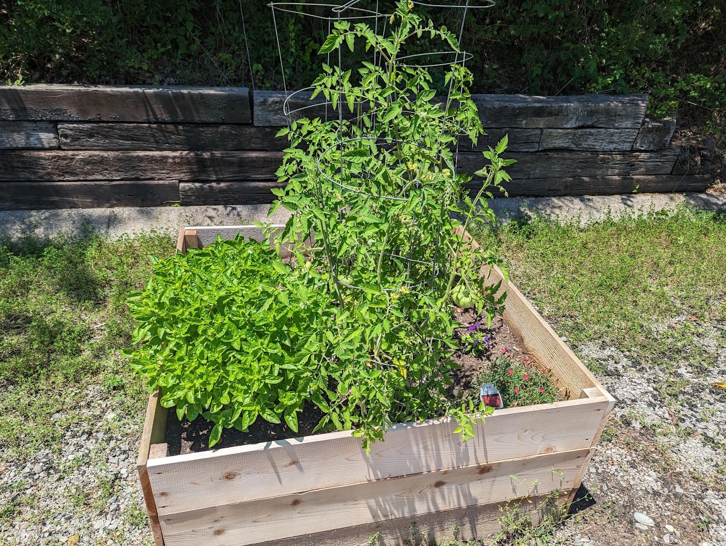 Sun., May 4: noon - 1:30 PM: Community Picnic & Raised Bed Planting!
