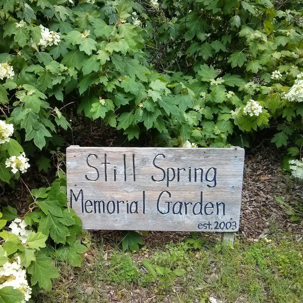 Sun., Aug. 24, 11 AM: Sunday Summer Song Service, Speaker: Dan Looney & Friends, "A Virtual Walk Through Still Spring Park" (Sanctuary/Zoom)