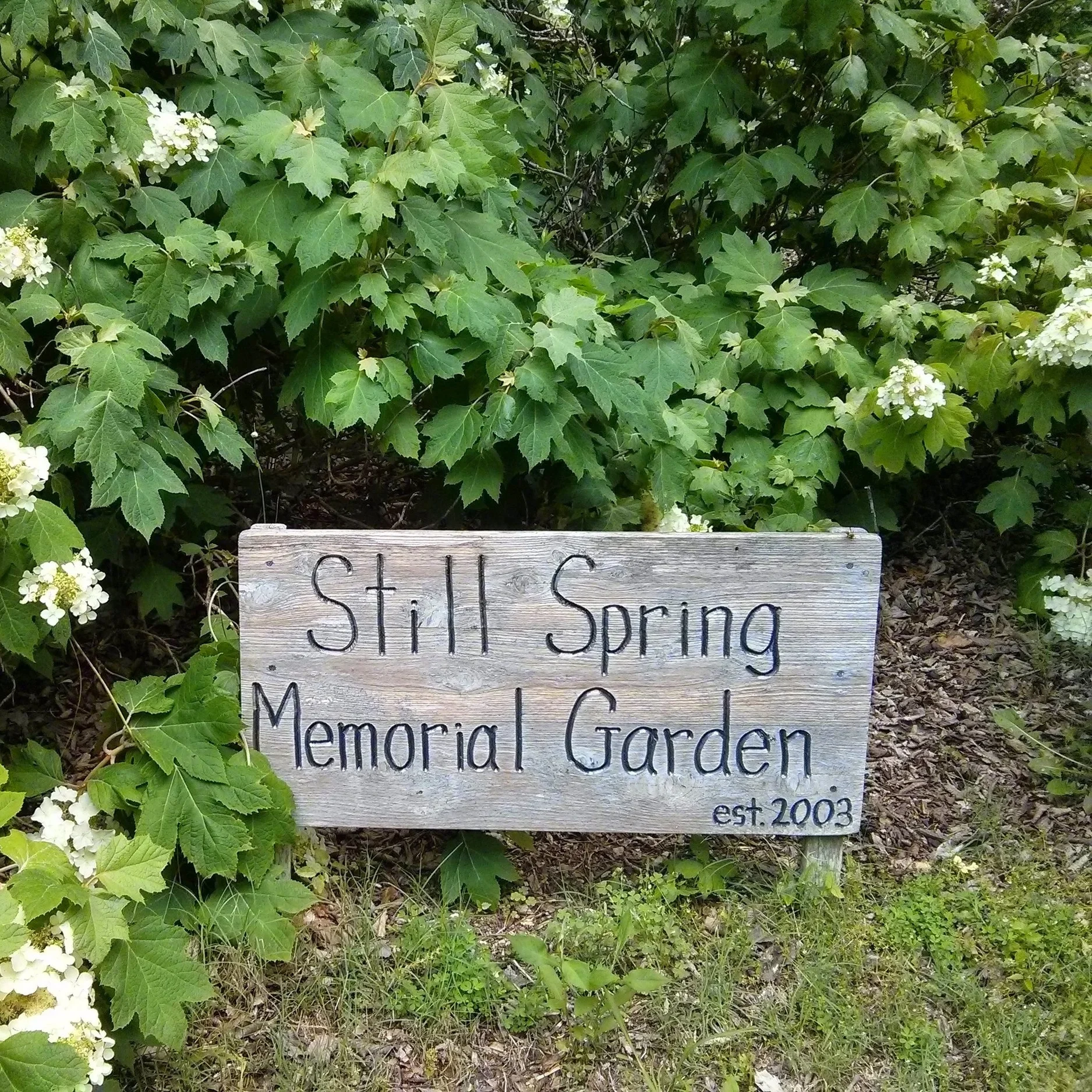 Sat., Oct. 11, 10 AM - 1 PM: Still Spring Memorial Garden Work Day