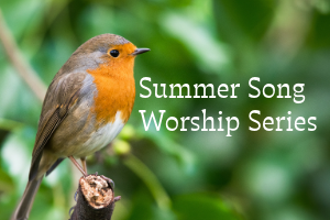 2026 Summer Song Line-up