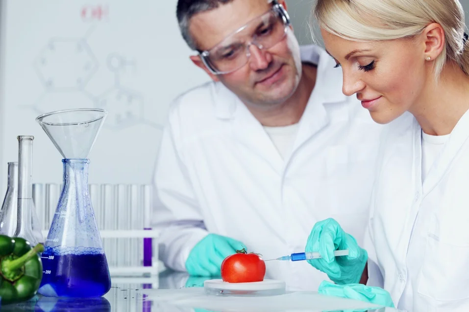 Are Artificial Preservatives and Coloring Bad for Our Health?