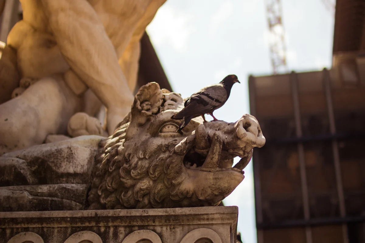 florence_lo-16.jpg