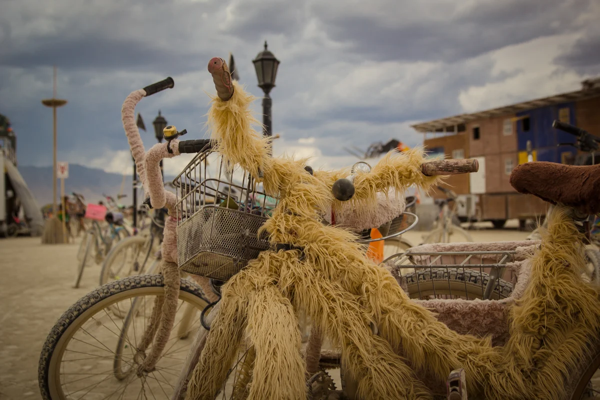 burningman_2017_Lo-6001.jpg
