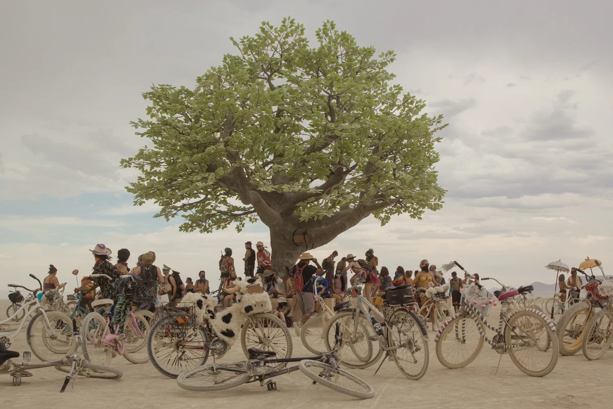 burningman_2017_Lo-6093.jpg