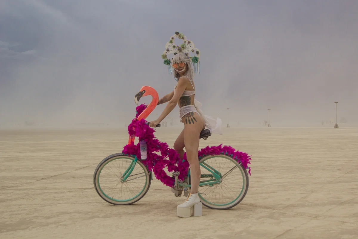 burningman_2017_Lo-6270.jpg