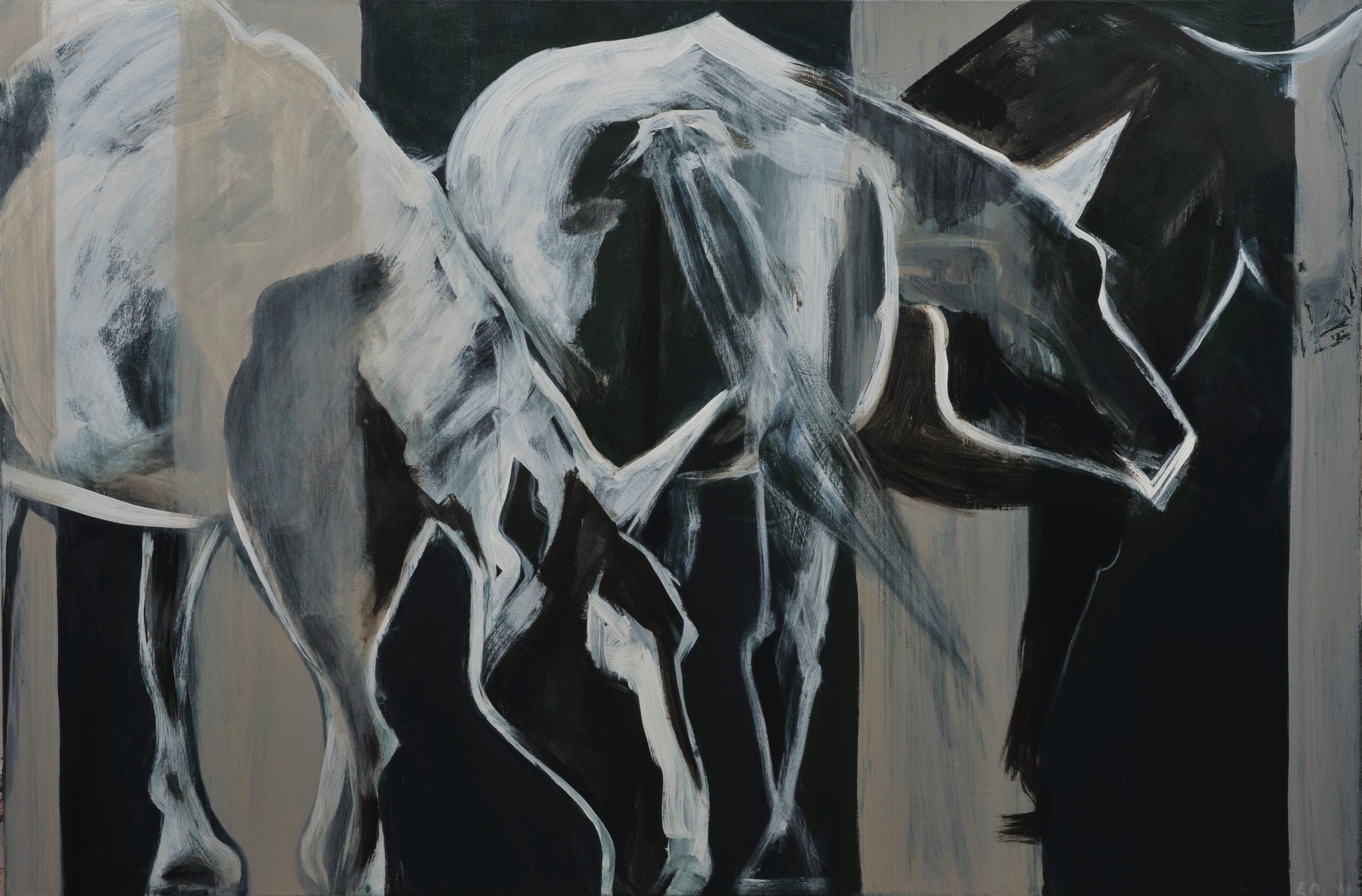 Horses 12, 2011