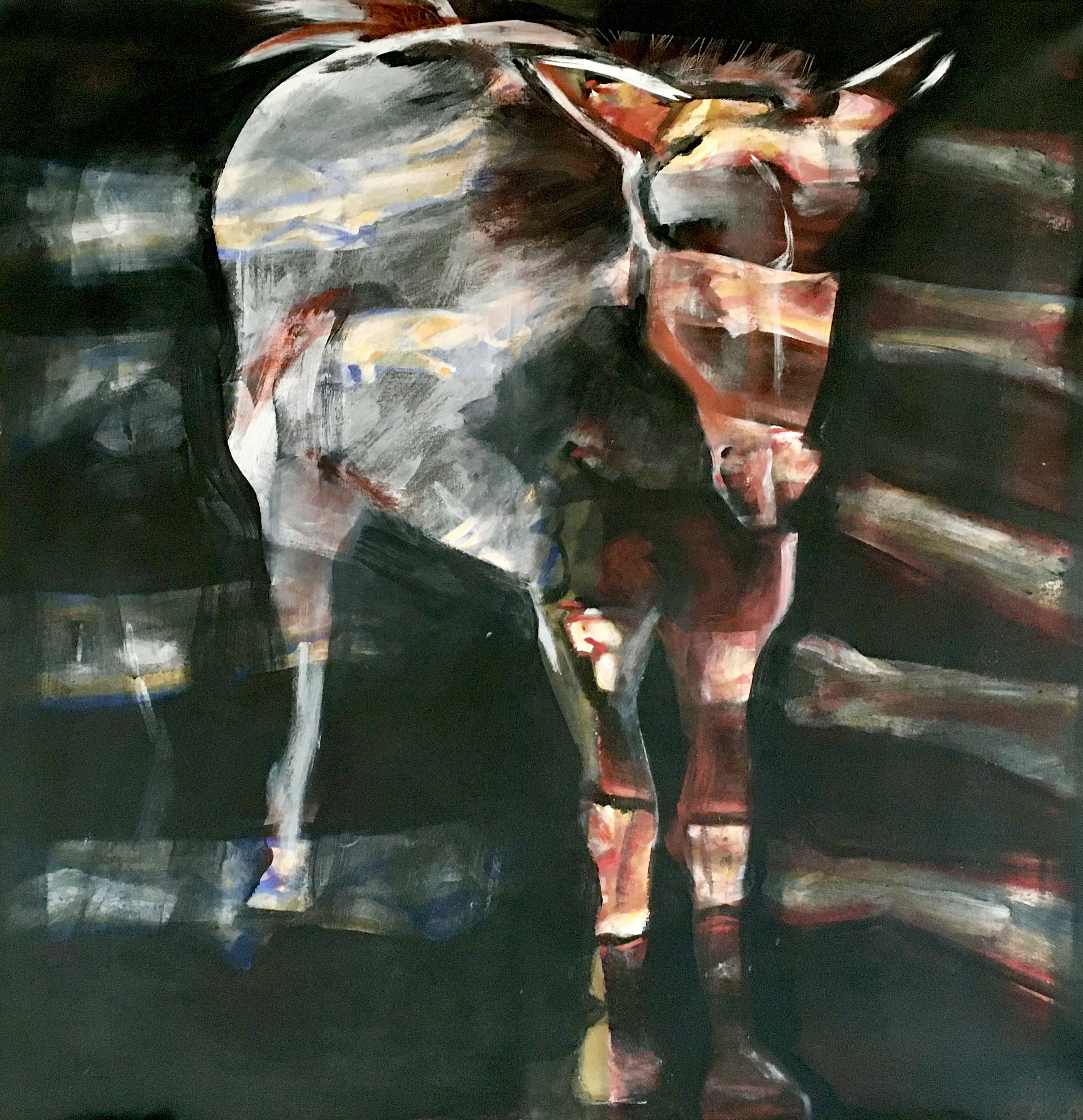 Horses , 2009