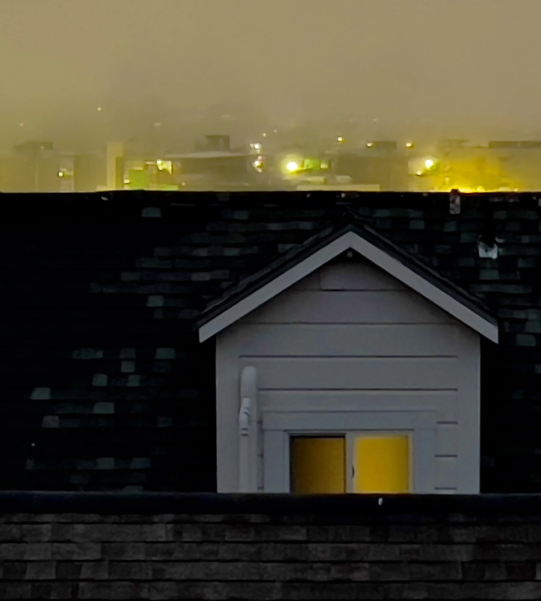 San Francisco View, 2025