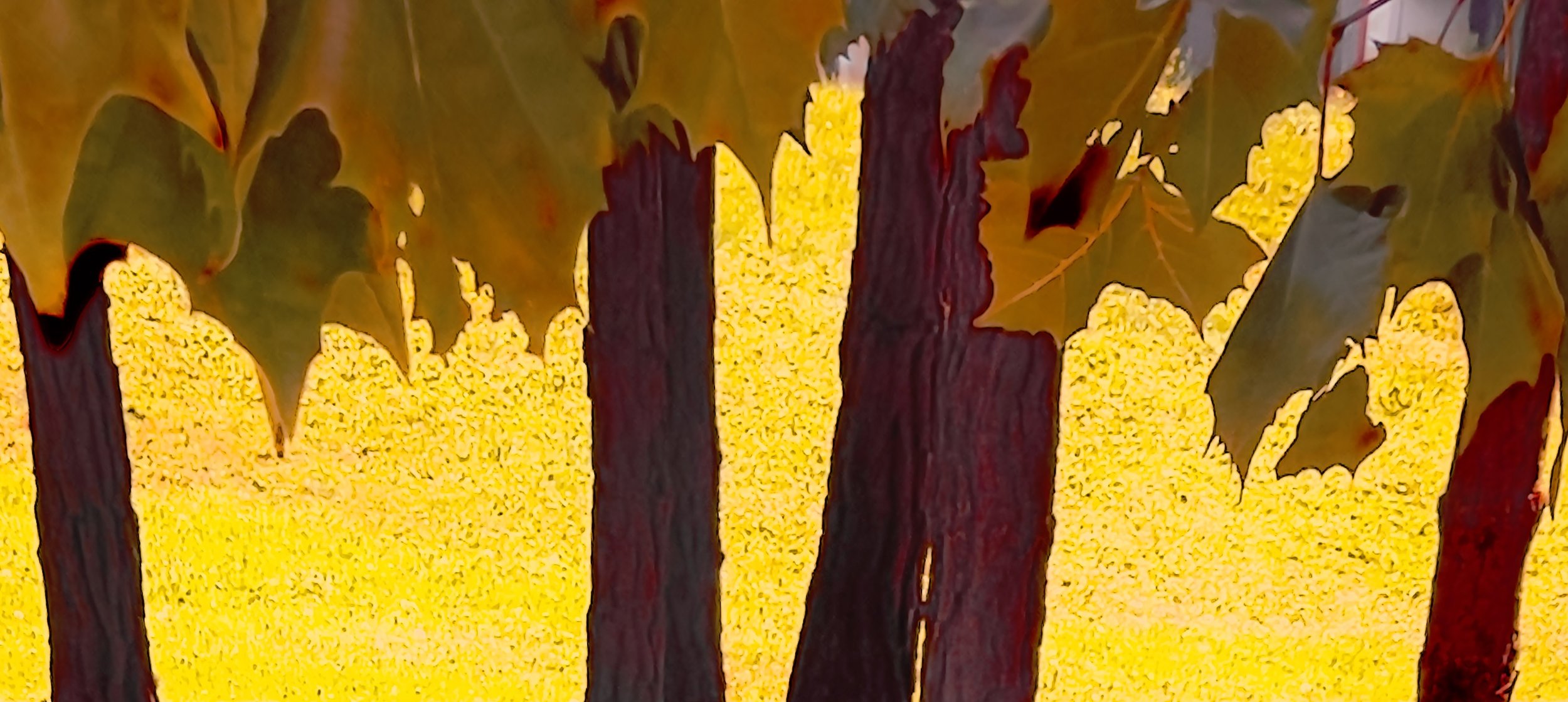 Fall, 2026