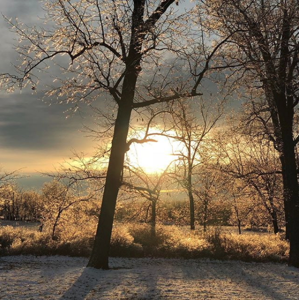 A Moment with the Messiah: Day 13