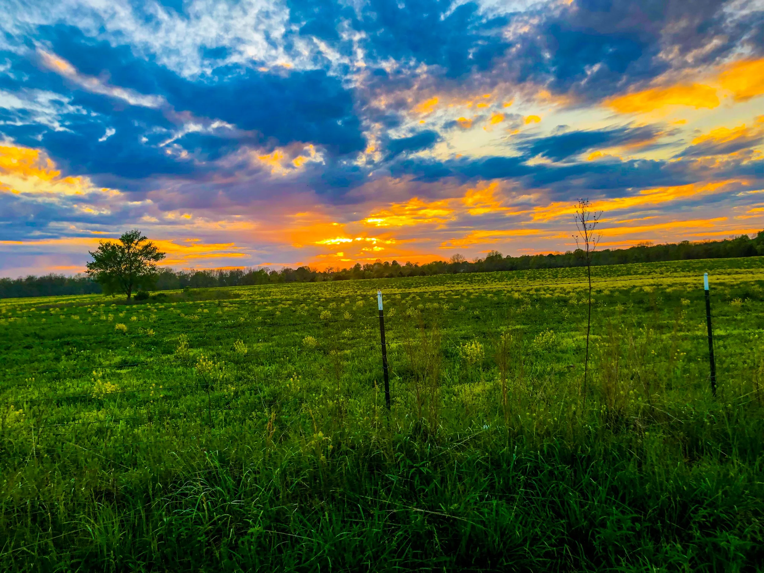 Meditations from John 15:9: Dwell Richly