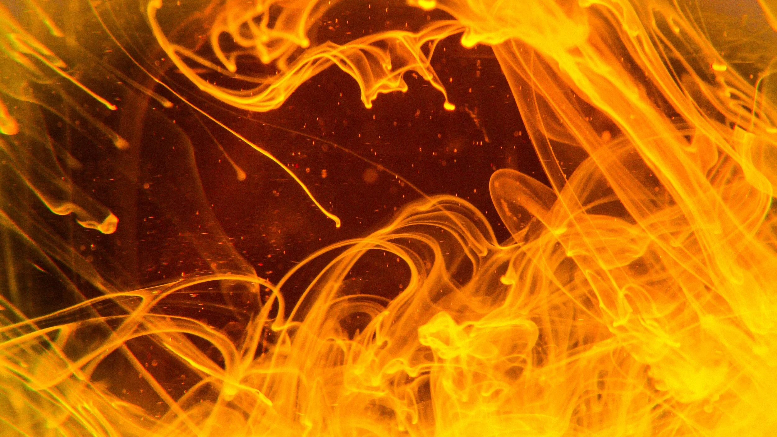 Burning for Peace