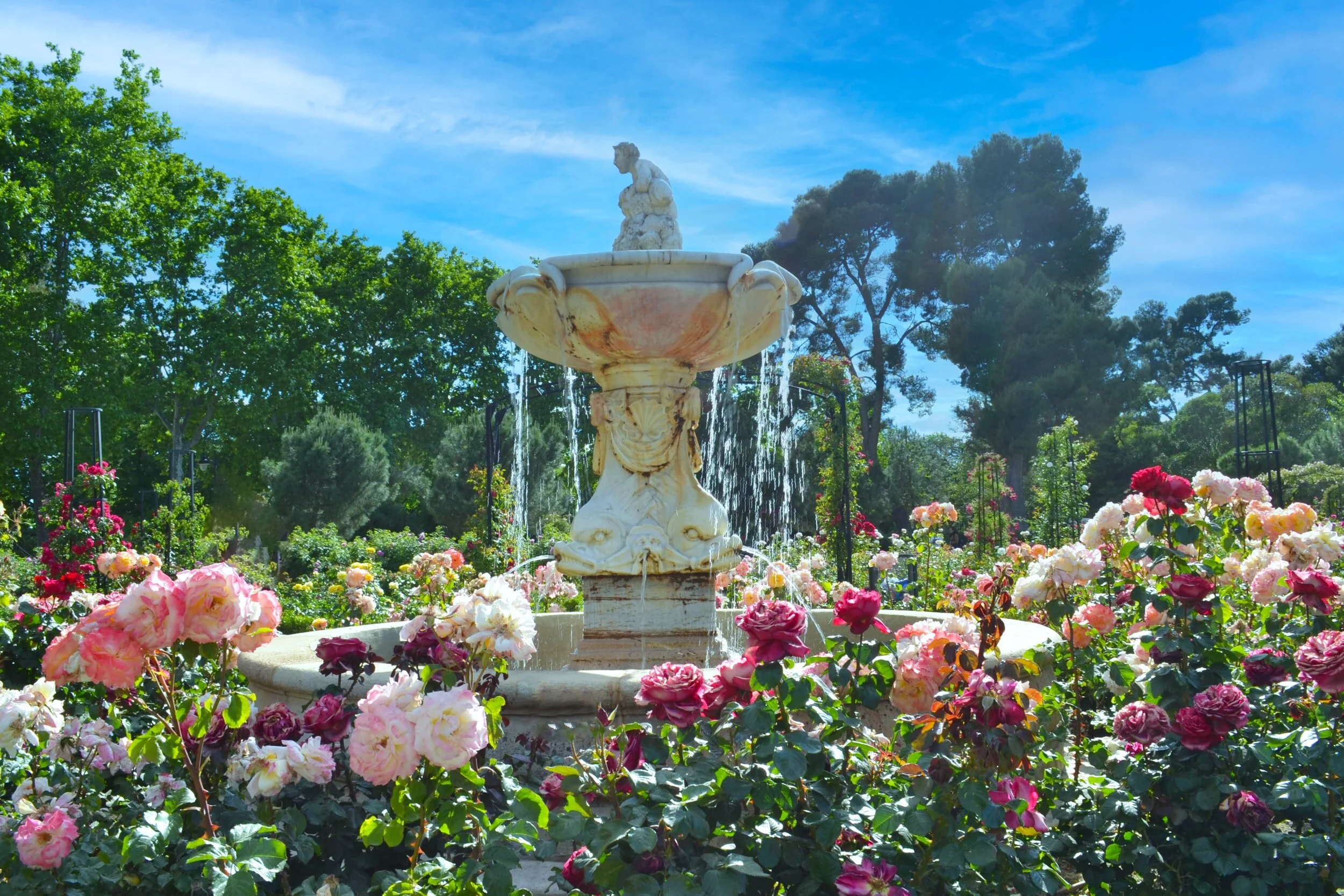 The Garden of Love: Week 5 in the Song of Songs