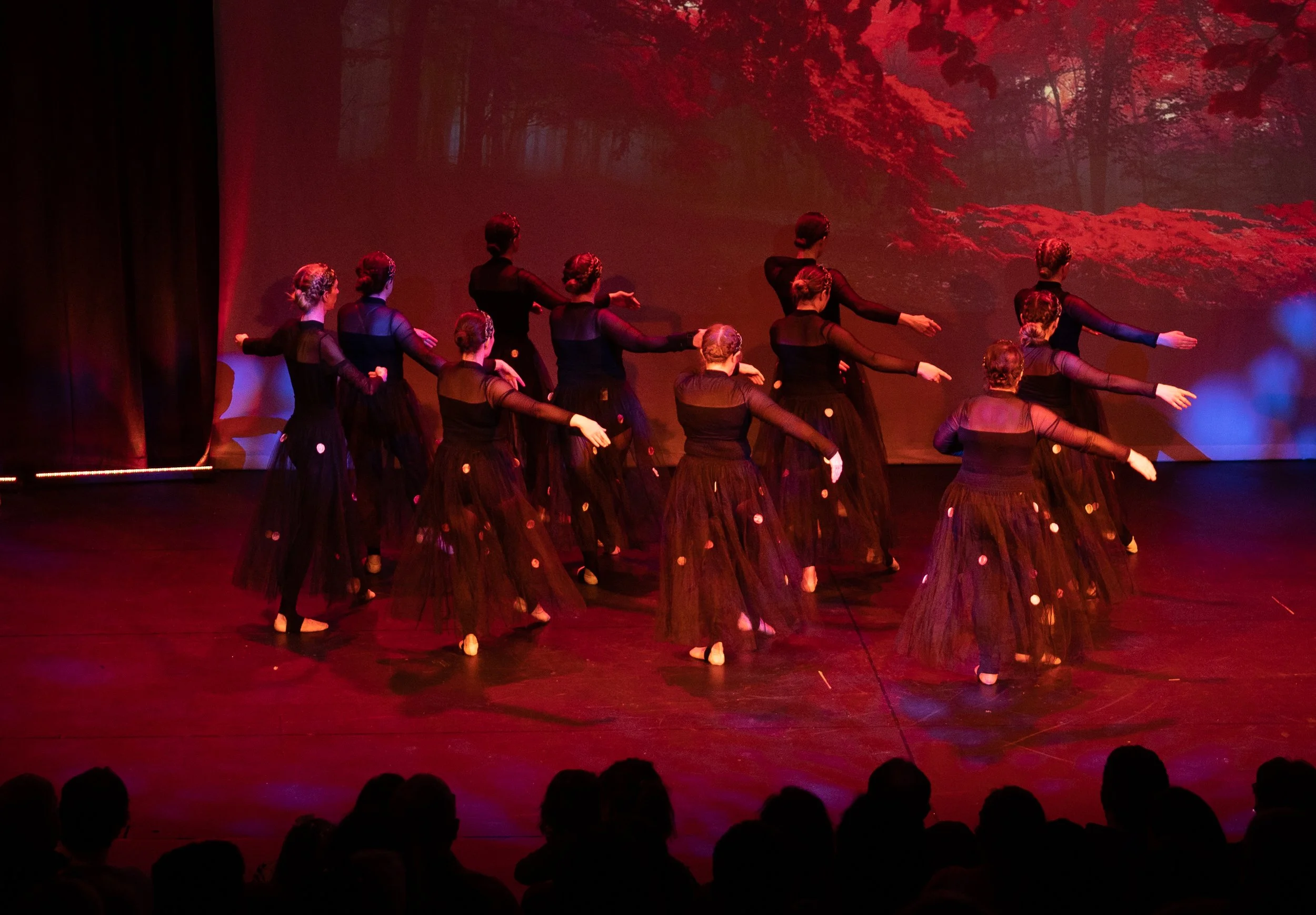 Adult Ballet 2.jpg
