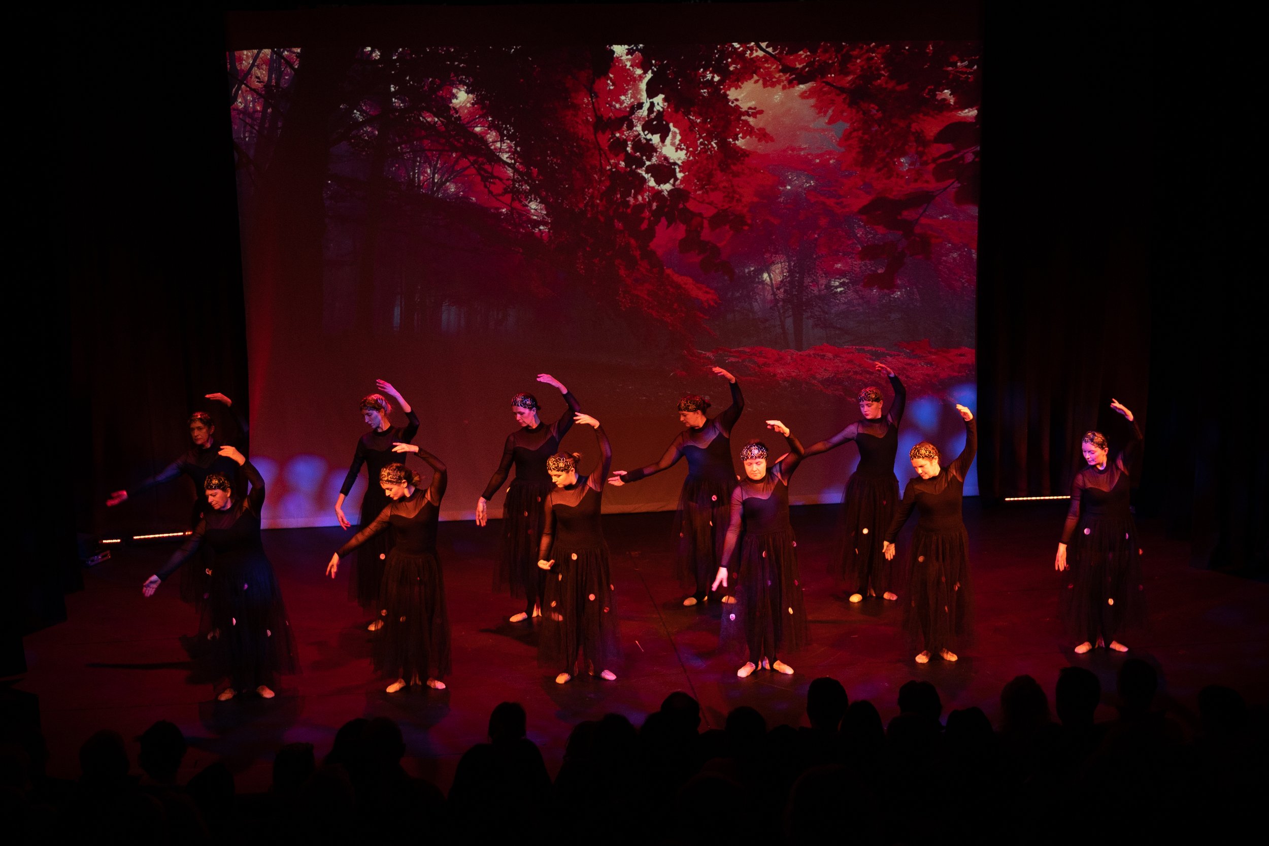 AdultBallet 1.jpg