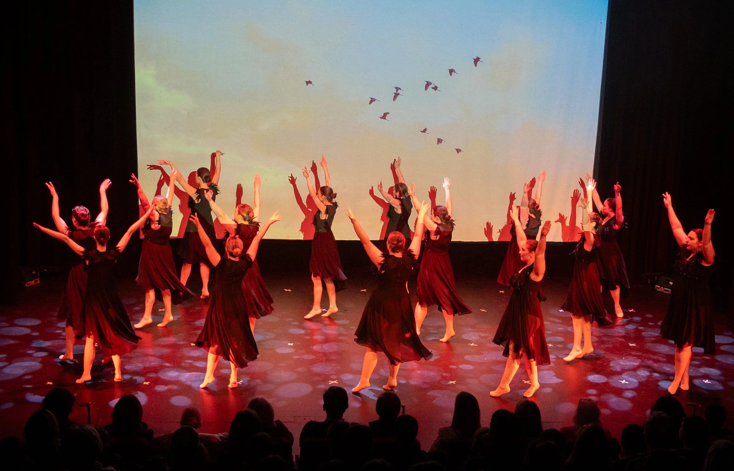 Adult ballet birds 2.jpg